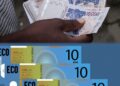 CEDEAO :TIRE LA SONNETTE D’ALARME, LA CREATION DE LA MONNAIE ECO SUSCITE UN DÉBAT HOULEUX. LES OPINIONS ET LES ANALYSES SONT DIVERSES