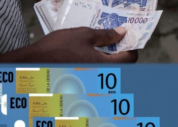 CEDEAO :TIRE LA SONNETTE D’ALARME, LA CREATION DE LA MONNAIE ECO SUSCITE UN DÉBAT HOULEUX. LES OPINIONS ET LES ANALYSES SONT DIVERSES