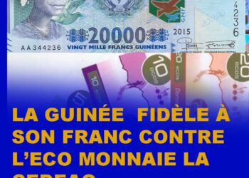 Guinée : l&rsquo;intégration d&rsquo;une nouvelle zone monétaire ECO, L&rsquo;ANALYSE D&rsquo;UN ÉCONOMISTE